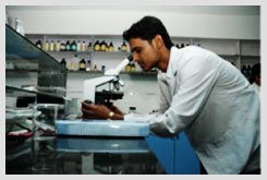 College of Food Technology, Aurangabad